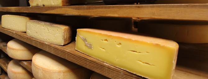 Bettelmatt, il formaggio che vola ad alta quota