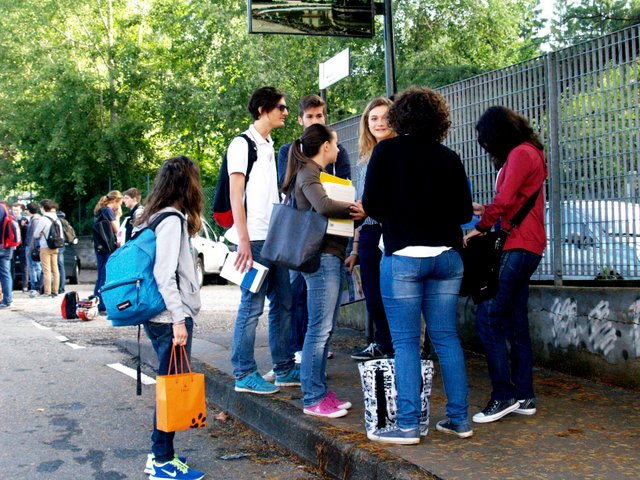 Maturità 2015, la prova d'Italiano 13