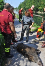 Corrida nel Villoresi 9