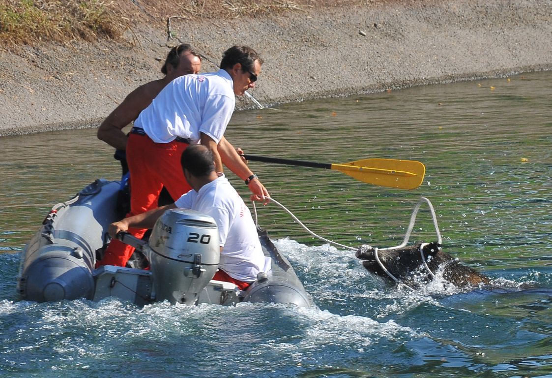 Corrida nel Villoresi 11