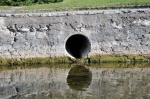 15-11-22  VARESE LAGO DI VARESE SOPRALUOGO PER SCARICHI ABUSIVI E CAPANNI CACCIATORI E CAPANNI ABBANDONATI