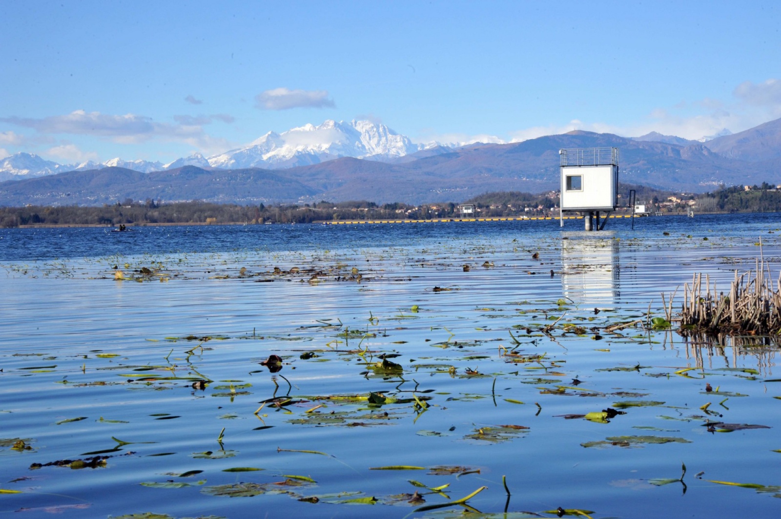 15-11-22  VARESE LAGO DI VARESE SOPRALUOGO PER SCARICHI ABUSIVI E CAPANNI CACCIATORI E CAPANNI ABBANDONATI