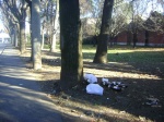 Gallarate: incuria e degrado. Colpa di Jack & Daniel?