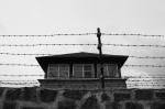 Giorno della Memoria Luca Nazari Dal Binario 21 ad Auschwitz 