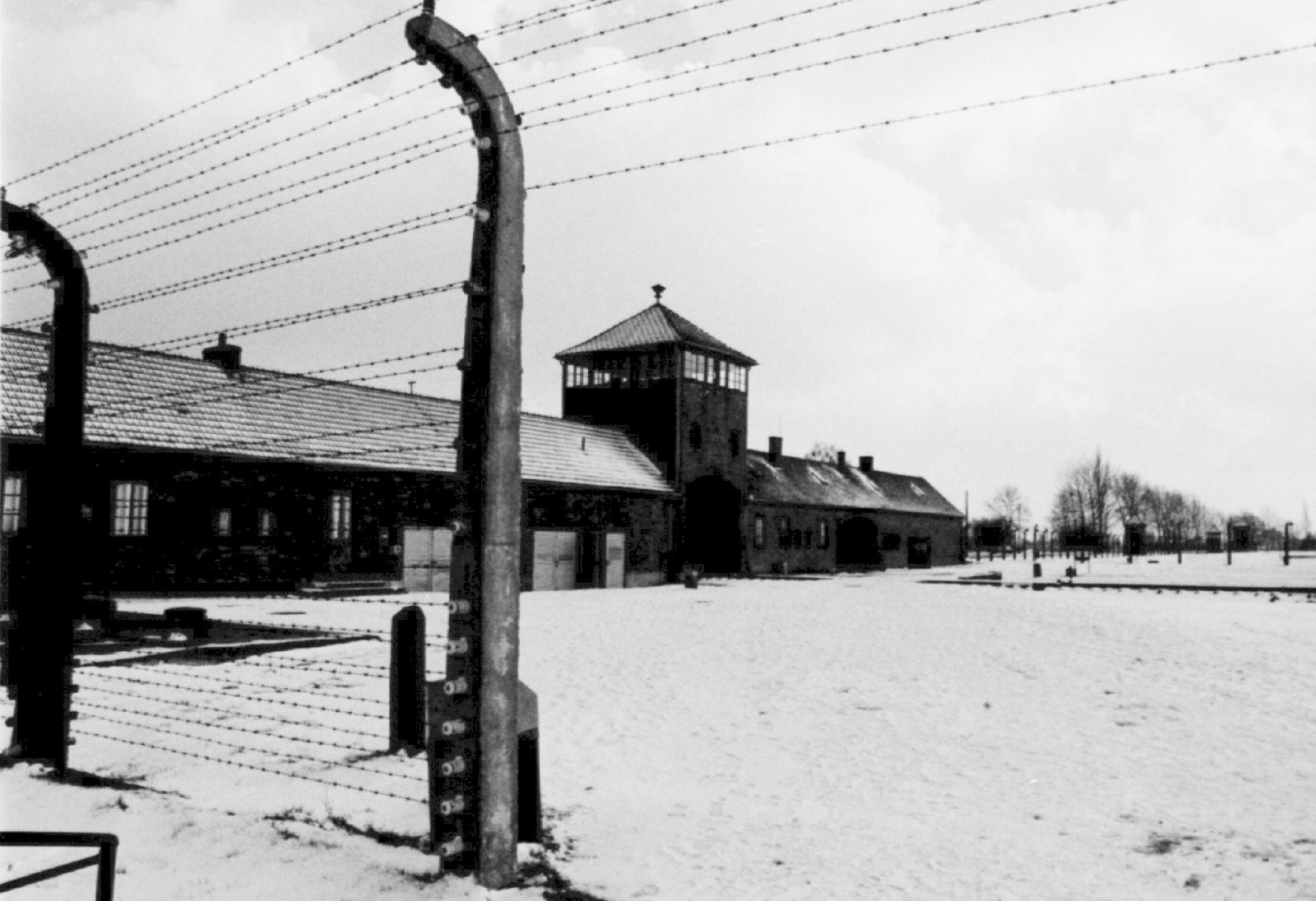 Giorno della Memoria Luca Nazari Dal Binario 21 ad Auschwitz 