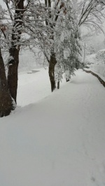 Neve Varese e provincia, strade paralizzate, stop Autolaghi e treni