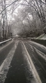 Neve Varese e provincia, strade paralizzate, stop Autolaghi e treni