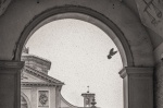 (foto di Andrea Plebani)