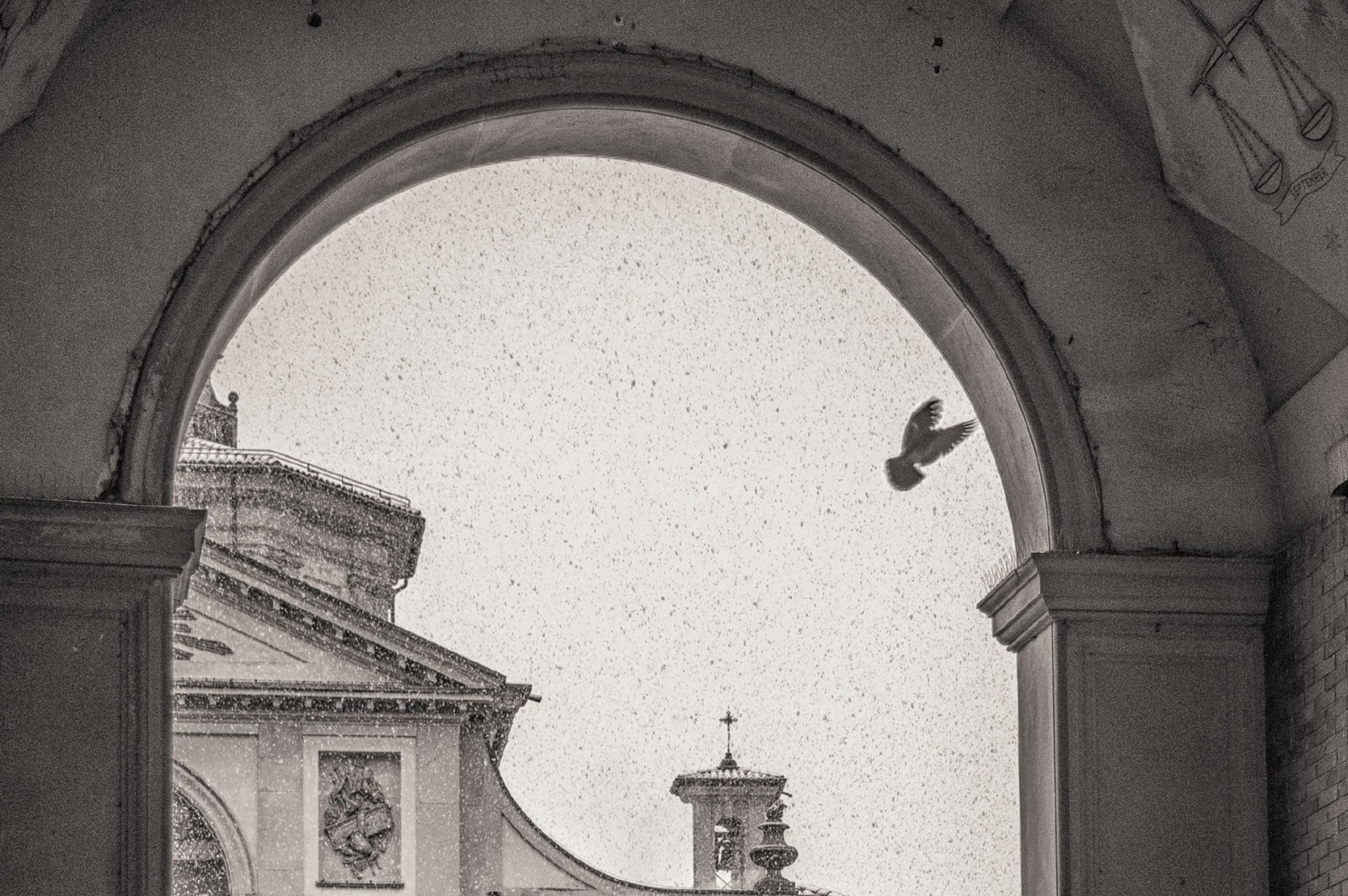 (foto di Andrea Plebani)