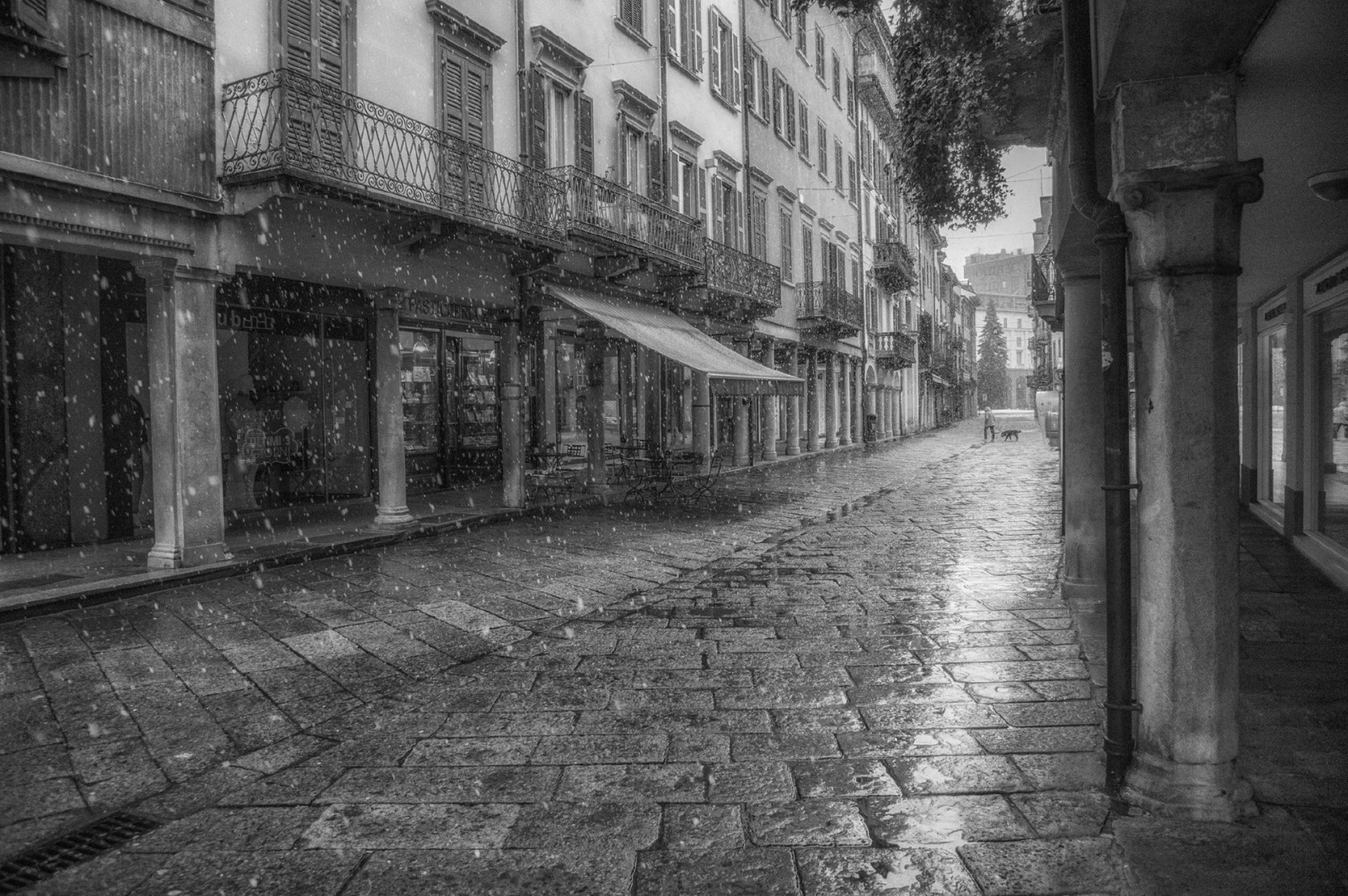 (foto di Andrea Plebani)