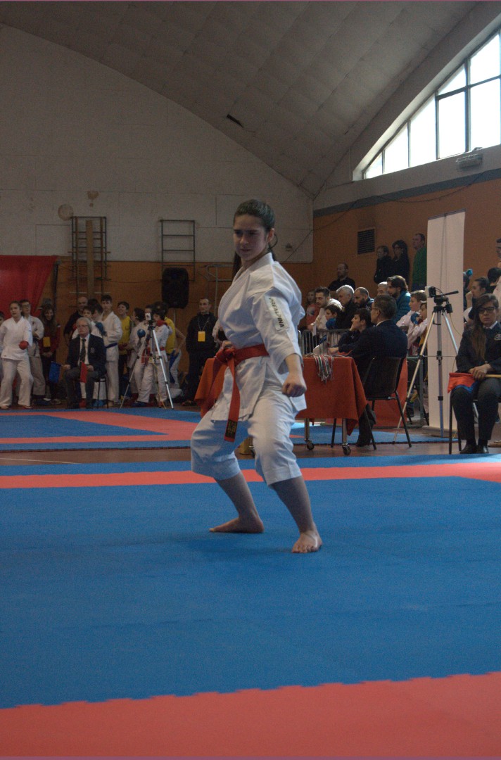 Fukyu karate club Busto - Barlassina 26 febbraio 2017