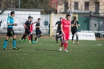 varese casale infopress