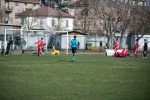 varese casale infopress