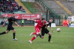 varese casale infopress