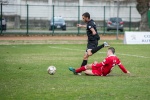 varese casale infopress