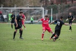 varese casale infopress