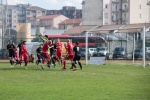 varese casale infopress