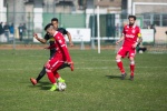 varese casale infopress