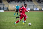 varese casale infopress