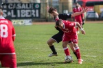 varese casale infopress