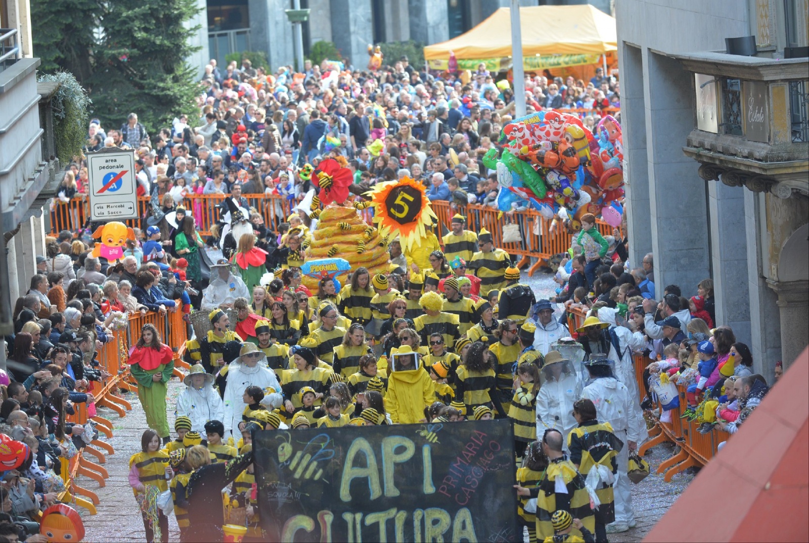 VARESE CARNEVALE BOSINO 2017 PER LE VIE DEL CENTRO CITTA'