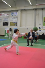 Fukyu karate club Gorla Minore