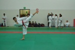 Fukyu karate club Gorla Minore