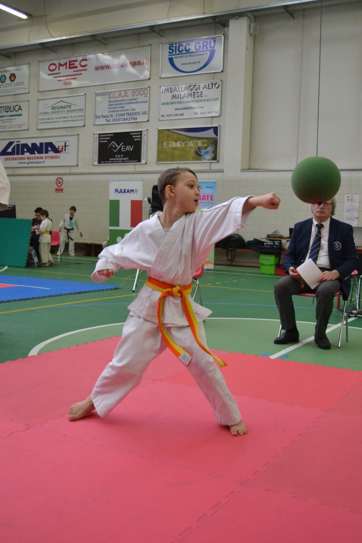 Fukyu karate club Gorla Minore