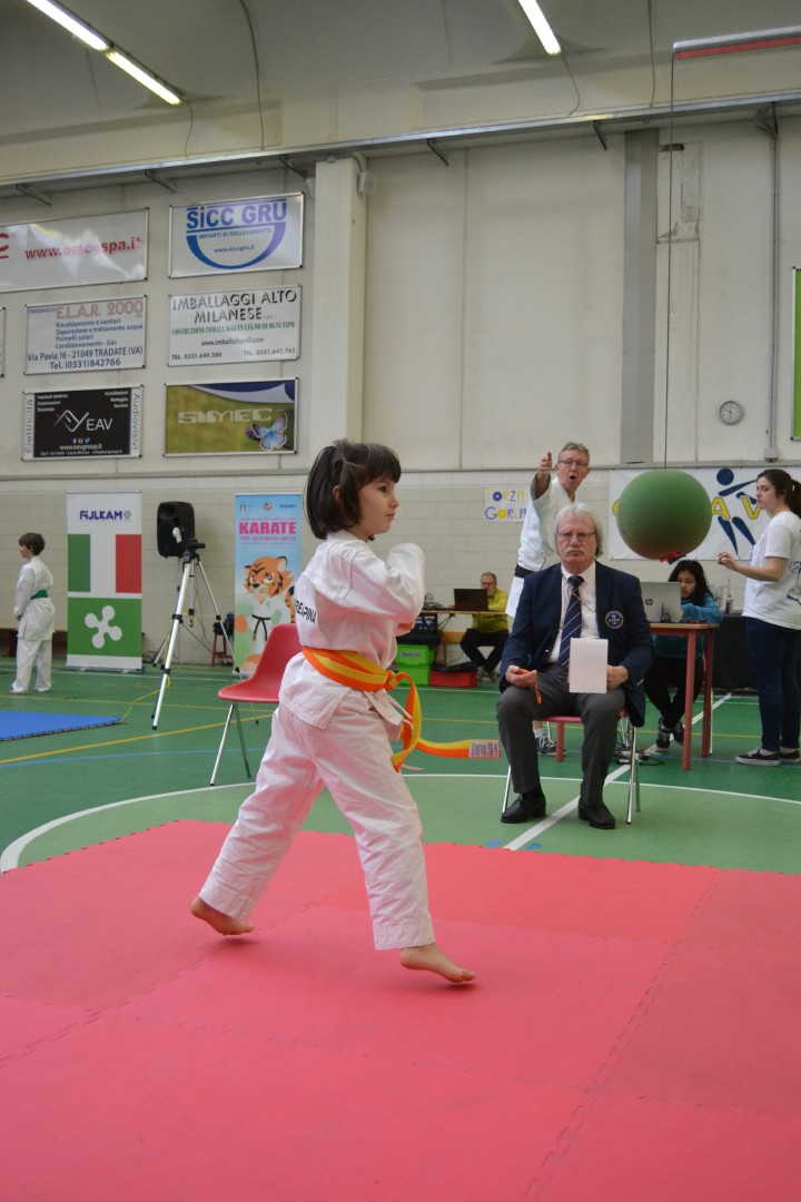 Fukyu karate club Gorla Minore