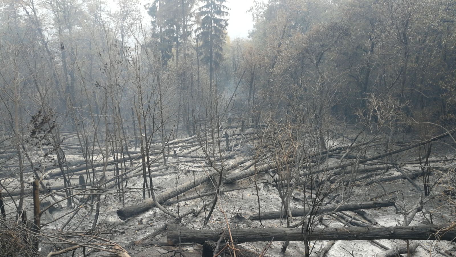 Un’altra giornata di emergenza 11