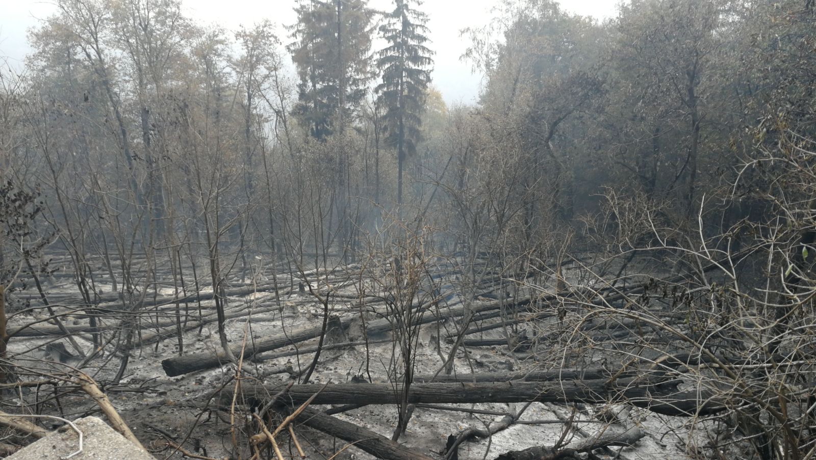 Un’altra giornata di emergenza 12