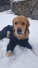 Il meraviglioso Sacro Monte innevato (Giuseppe Macchi)