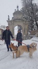 Il meraviglioso Sacro Monte innevato (Giuseppe Macchi)