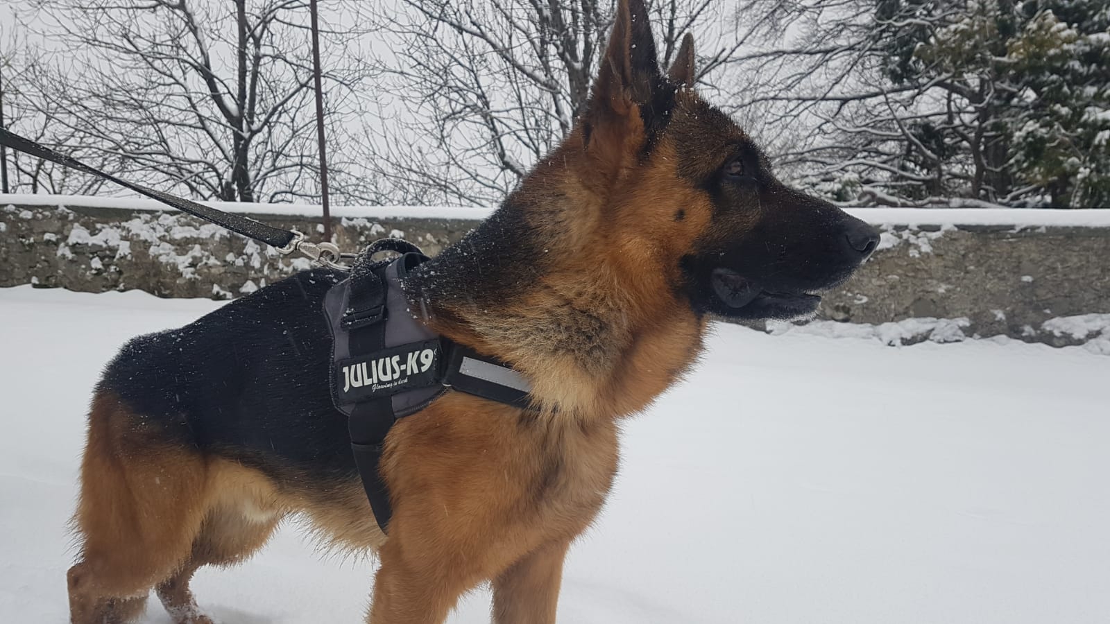 Il meraviglioso Sacro Monte innevato (Giuseppe Macchi)