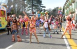 Il Carnevale bosino 2019