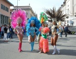 Il Carnevale bosino 2019