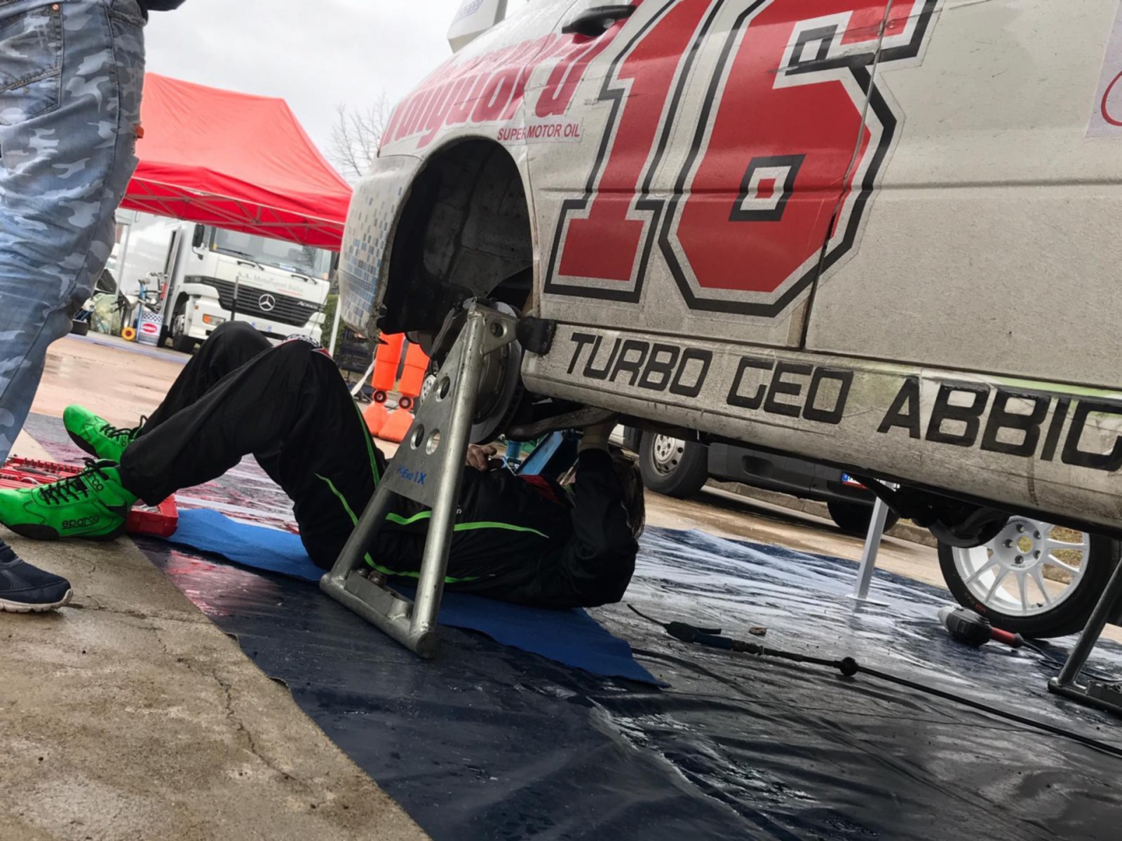 Scatti dal parco assistenza