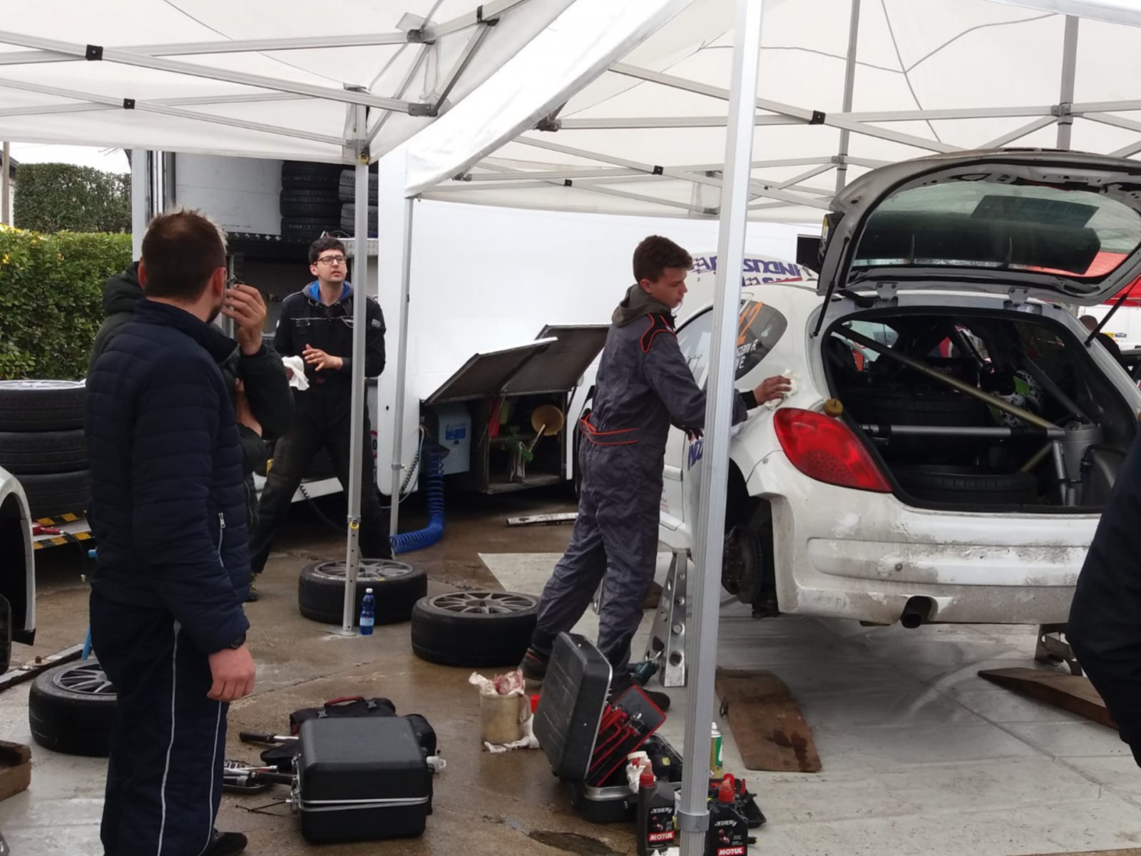 Scatti dal parco assistenza