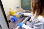 VARESE PROF. FABRIZIO MAGGI, DIRETTORE LABORATORIO MICROBIOLOGIA OSPEDALE DI CIRCOLO E VARIE LABORATORI E TECNICI AL LAVORO