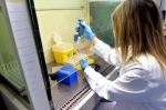 VARESE PROF. FABRIZIO MAGGI, DIRETTORE LABORATORIO MICROBIOLOGIA OSPEDALE DI CIRCOLO E VARIE LABORATORI E TECNICI AL LAVORO