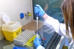 VARESE PROF. FABRIZIO MAGGI, DIRETTORE LABORATORIO MICROBIOLOGIA OSPEDALE DI CIRCOLO E VARIE LABORATORI E TECNICI AL LAVORO