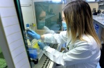 VARESE PROF. FABRIZIO MAGGI, DIRETTORE LABORATORIO MICROBIOLOGIA OSPEDALE DI CIRCOLO E VARIE LABORATORI E TECNICI AL LAVORO