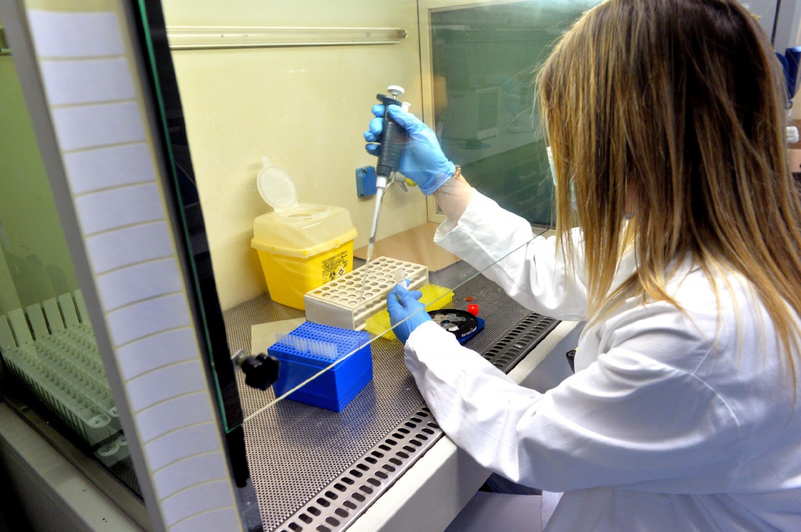 VARESE PROF. FABRIZIO MAGGI, DIRETTORE LABORATORIO MICROBIOLOGIA OSPEDALE DI CIRCOLO E VARIE LABORATORI E TECNICI AL LAVORO