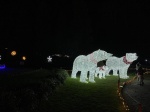 GN4_DAT_31343566.jpg