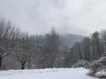 GN4_DAT_31369005.jpg