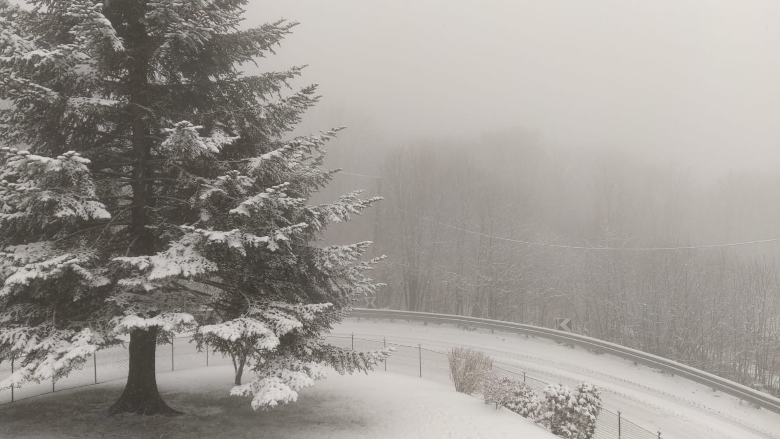 web foto maltempo  Levo Stresa