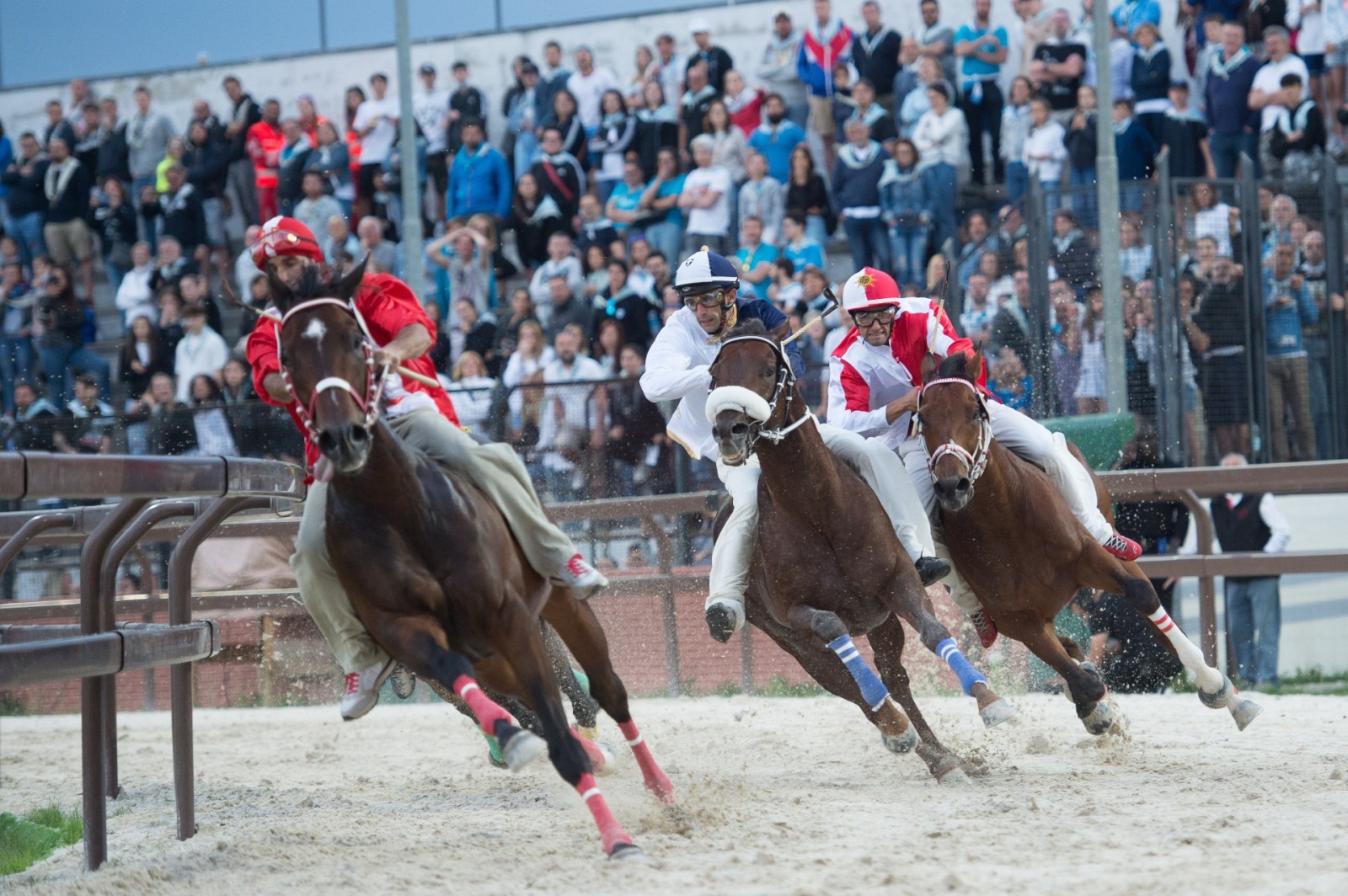 Legnano palio finale esultanze 29 05 2022