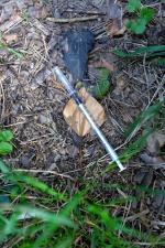 TRADATE OPERAZIONE ANTIDROGA ESEGUITA DALLA SEZIONE NARCOTICI SQUADRA MOBILE CON L�AUSILIO DEL REPARTO PREVENZIONE CRIMINE, CARABINIERI E POLIZIE LOCALI NELLA FOTO UNA SIRINGA