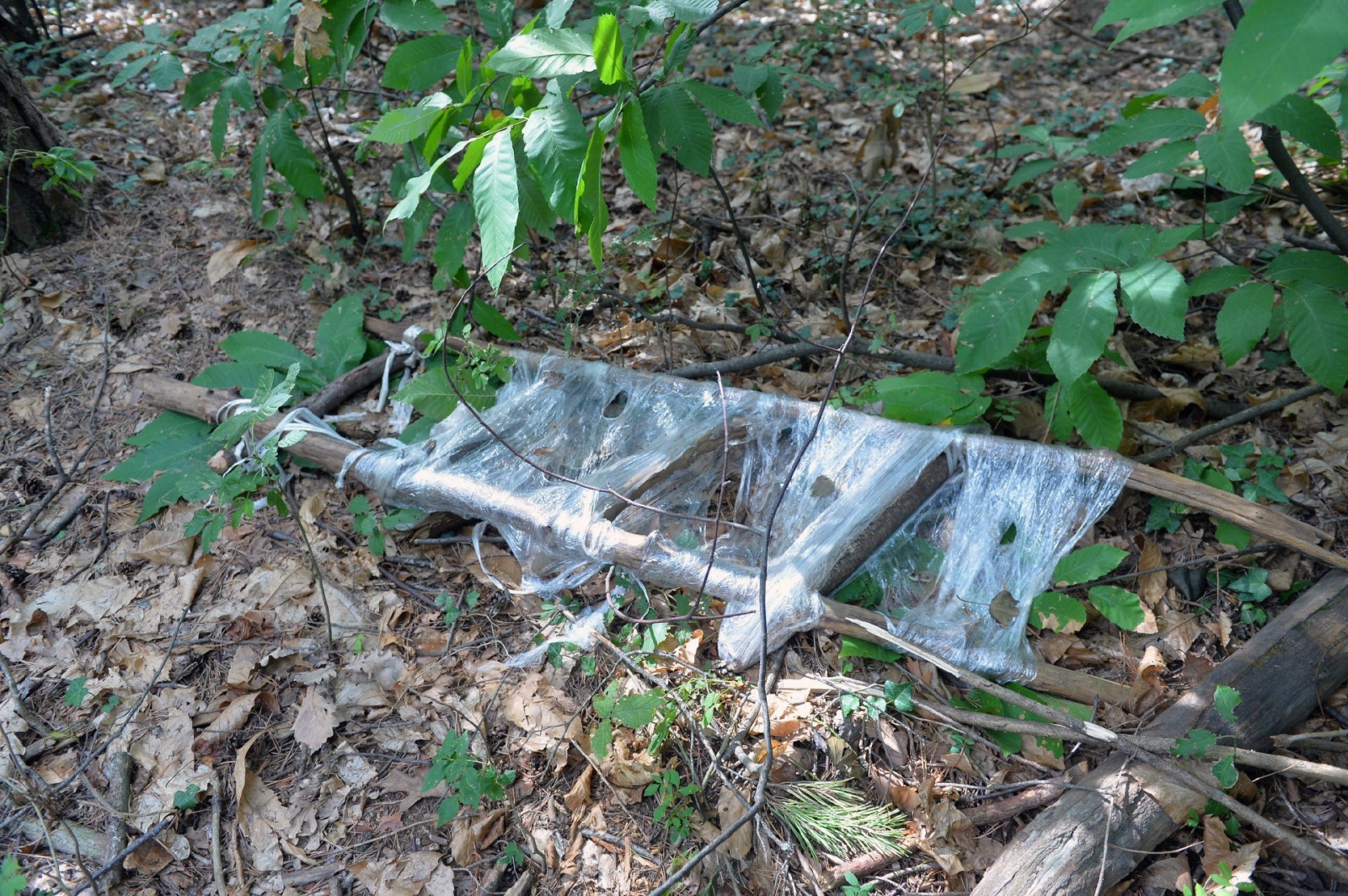 TRADATE OPERAZIONE ANTIDROGA ESEGUITA DALLA SEZIONE NARCOTICI SQUADRA MOBILE CON L�AUSILIO DEL REPARTO PREVENZIONE CRIMINE, CARABINIERI E POLIZIE LOCALI NELLA FOTO UNA SCALA RUDIMENTALE COSTRUITA DAGLI SPACCIATORI