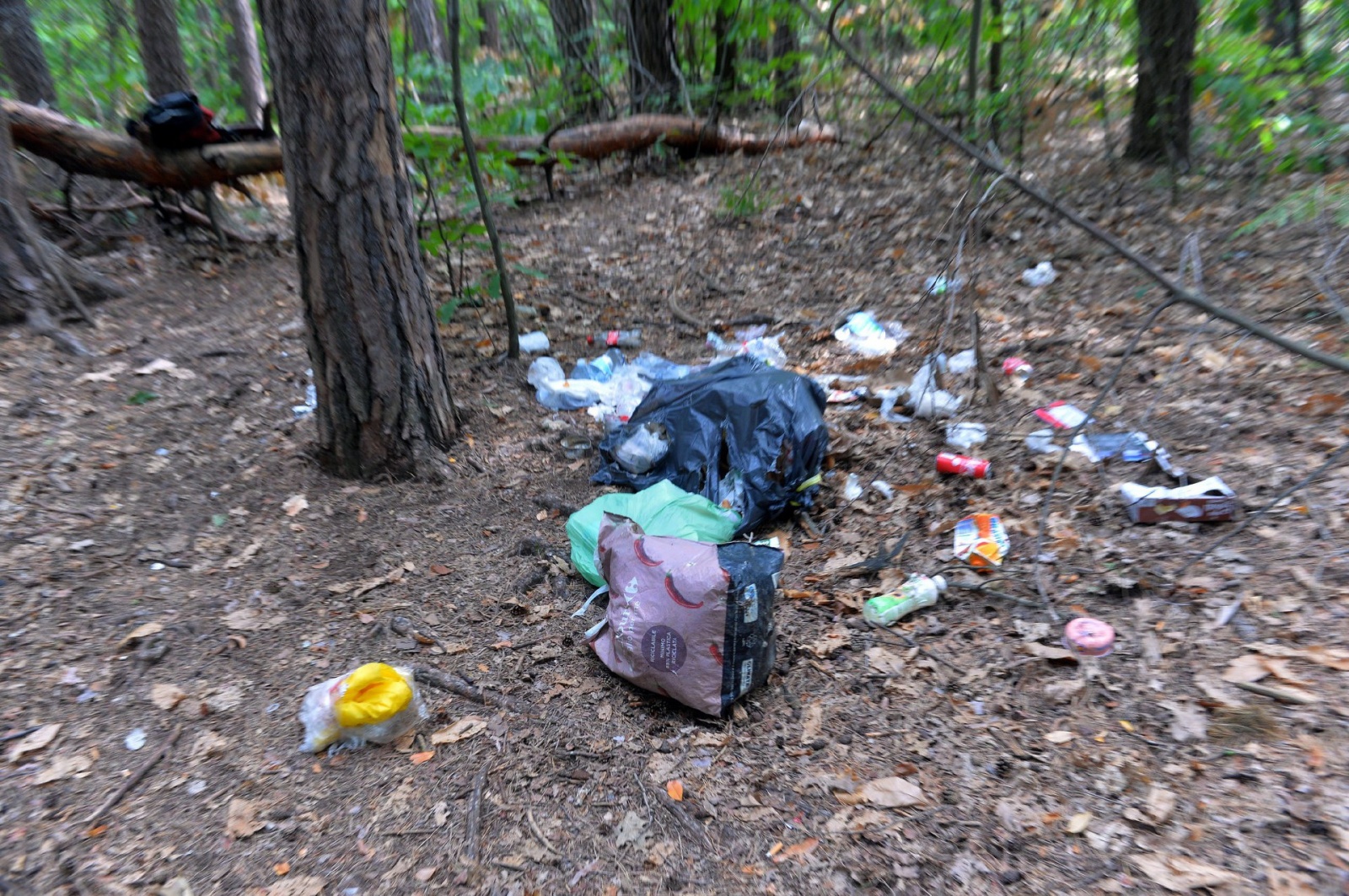 TRADATE OPERAZIONE ANTIDROGA ESEGUITA DALLA SEZIONE NARCOTICI SQUADRA MOBILE CON L�AUSILIO DEL REPARTO PREVENZIONE CRIMINE, CARABINIERI E POLIZIE LOCALI NELLA FOTO RIFIUTI LASCIATI DAGLI SPACCIATORI CHE BIVACCANO